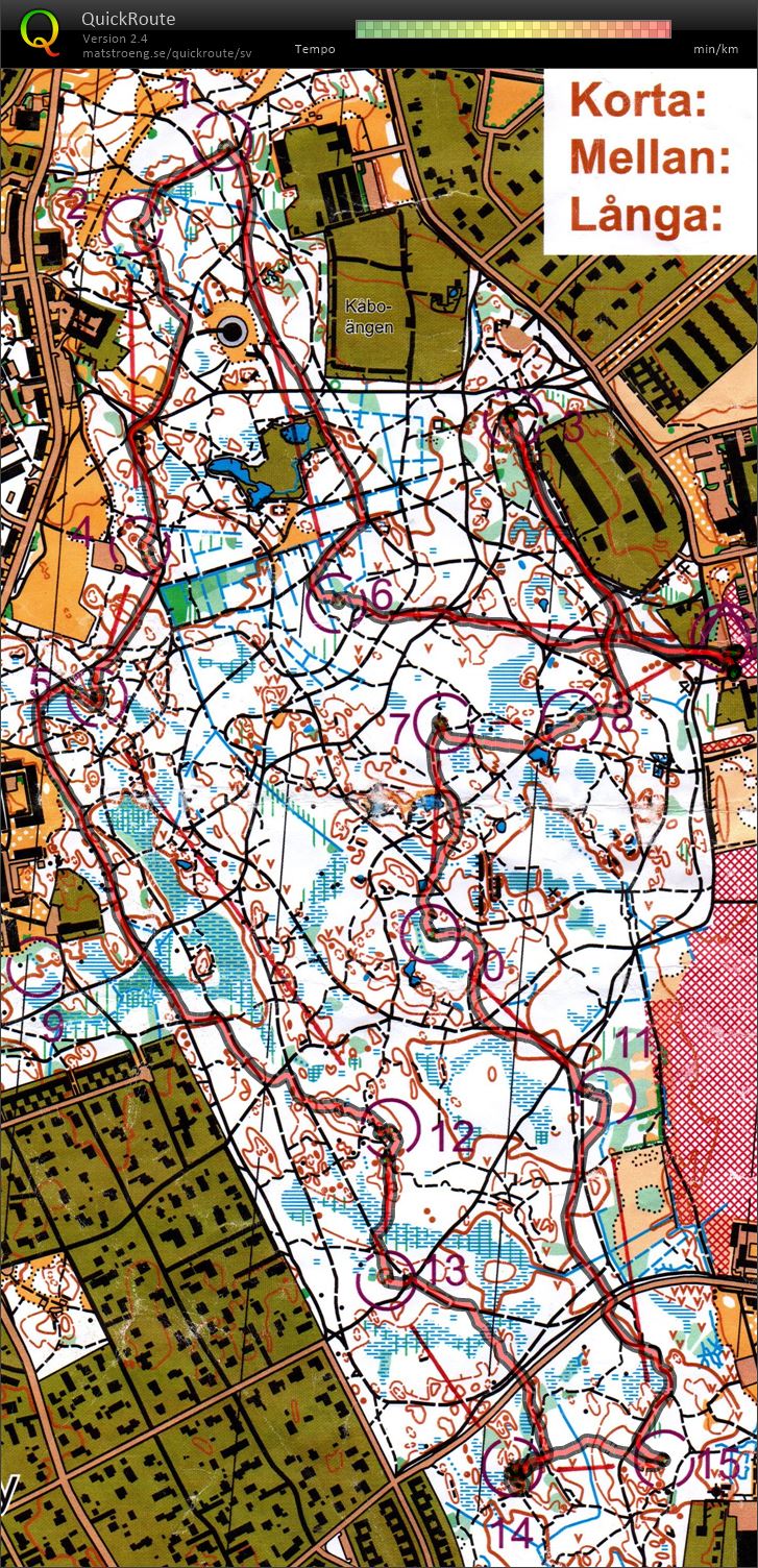 Löslapp i Stadskogen