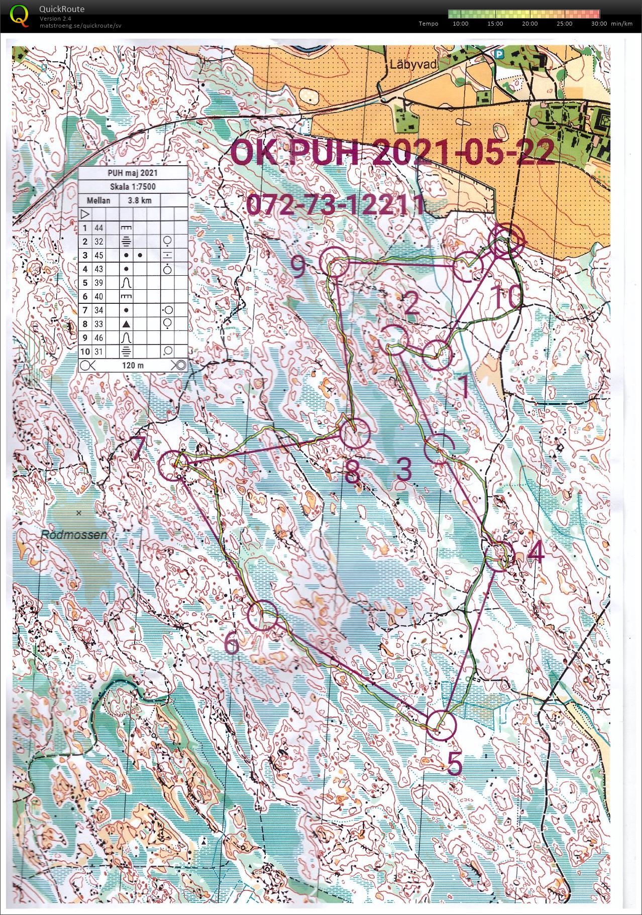 Nåsten i vårsolens glans