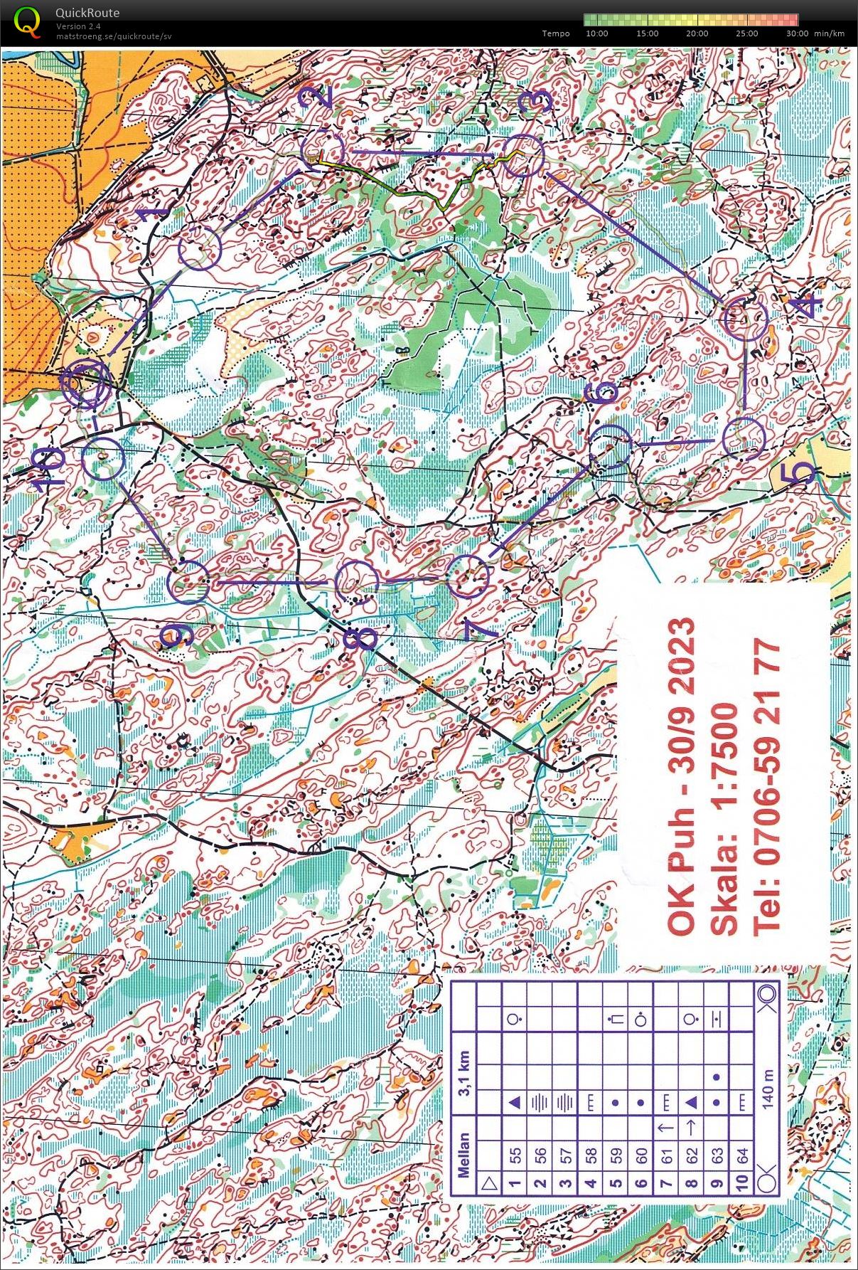 Nåsten i septembersol