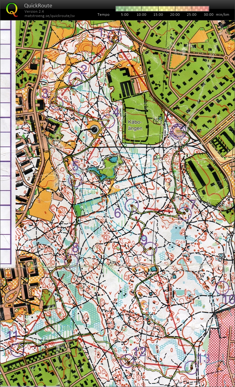 Löslapp i Stadskogen