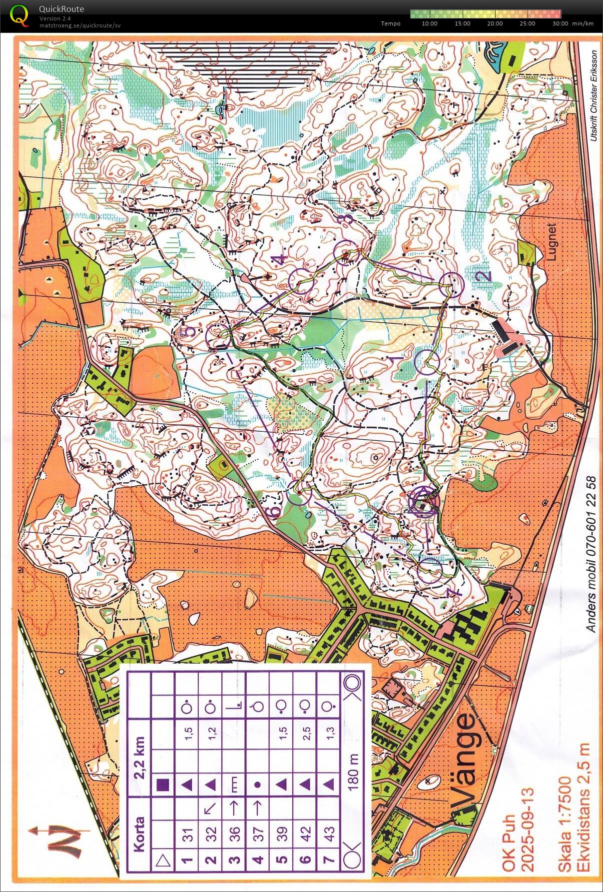 Vängesväng i sensommarsol